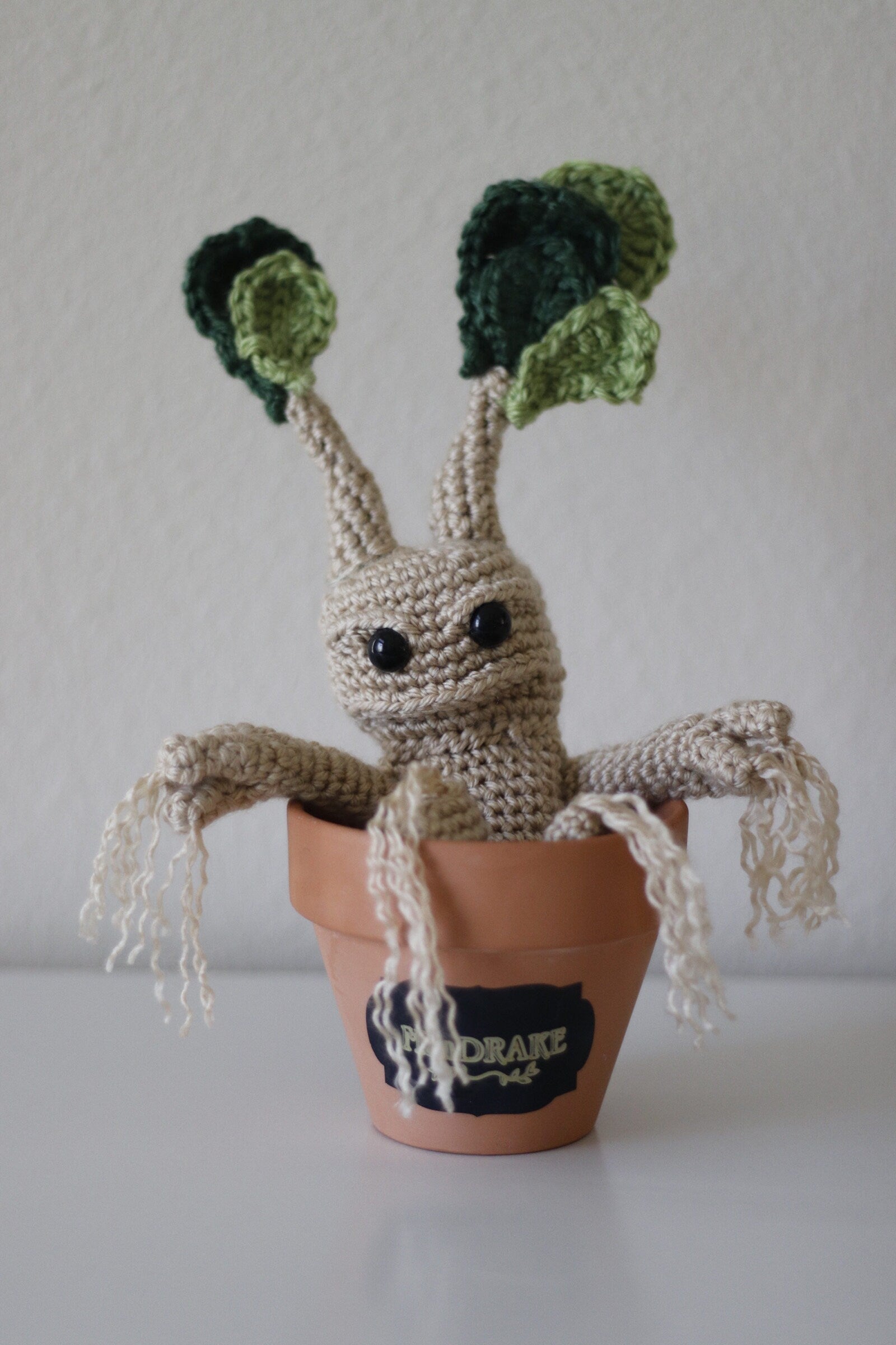 Custom Stuffy Request