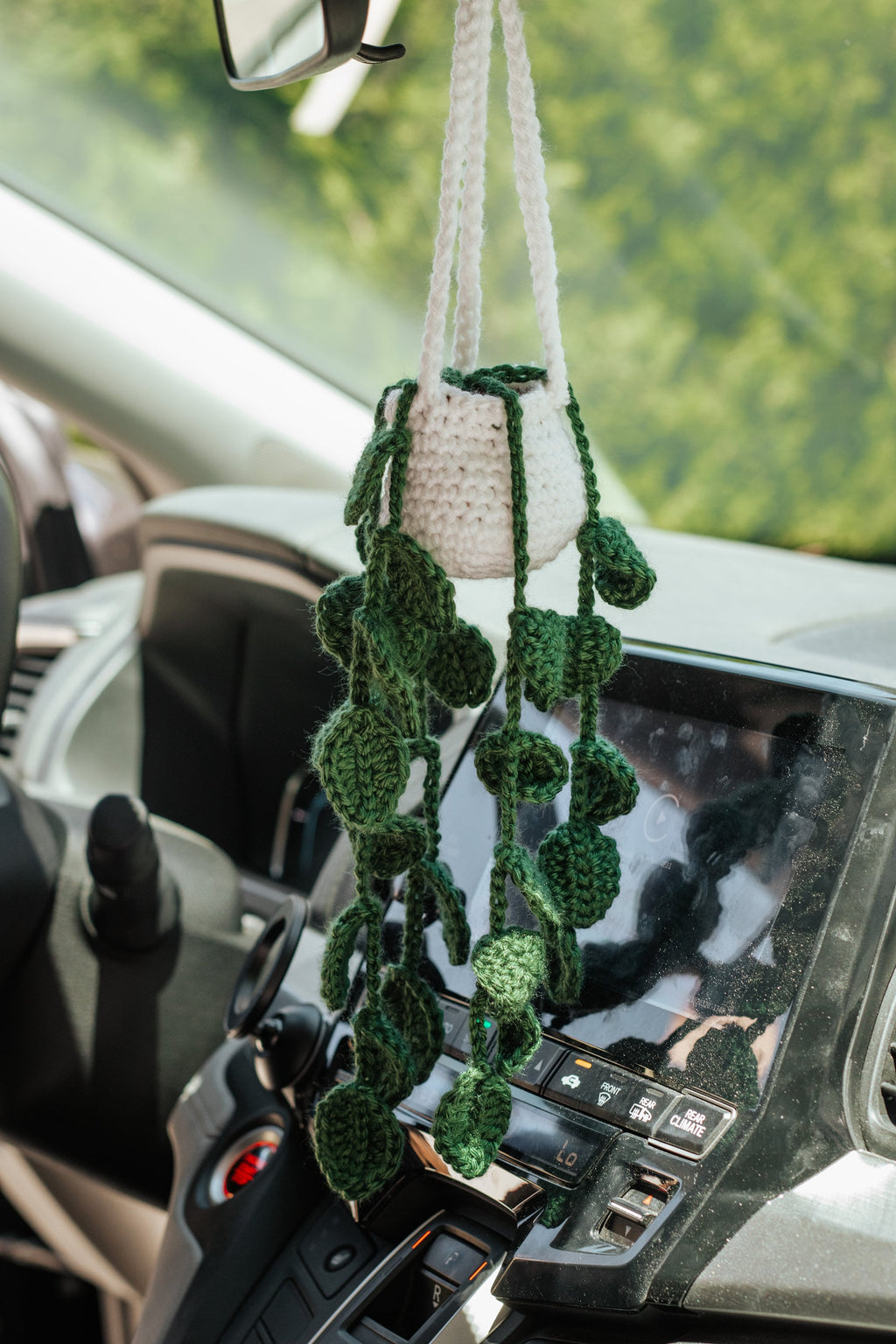 Crochet Carplant