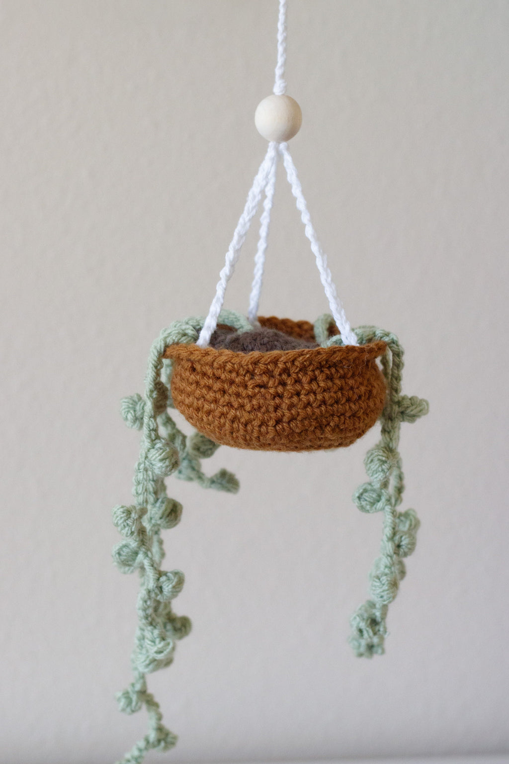 Crochet Carplant