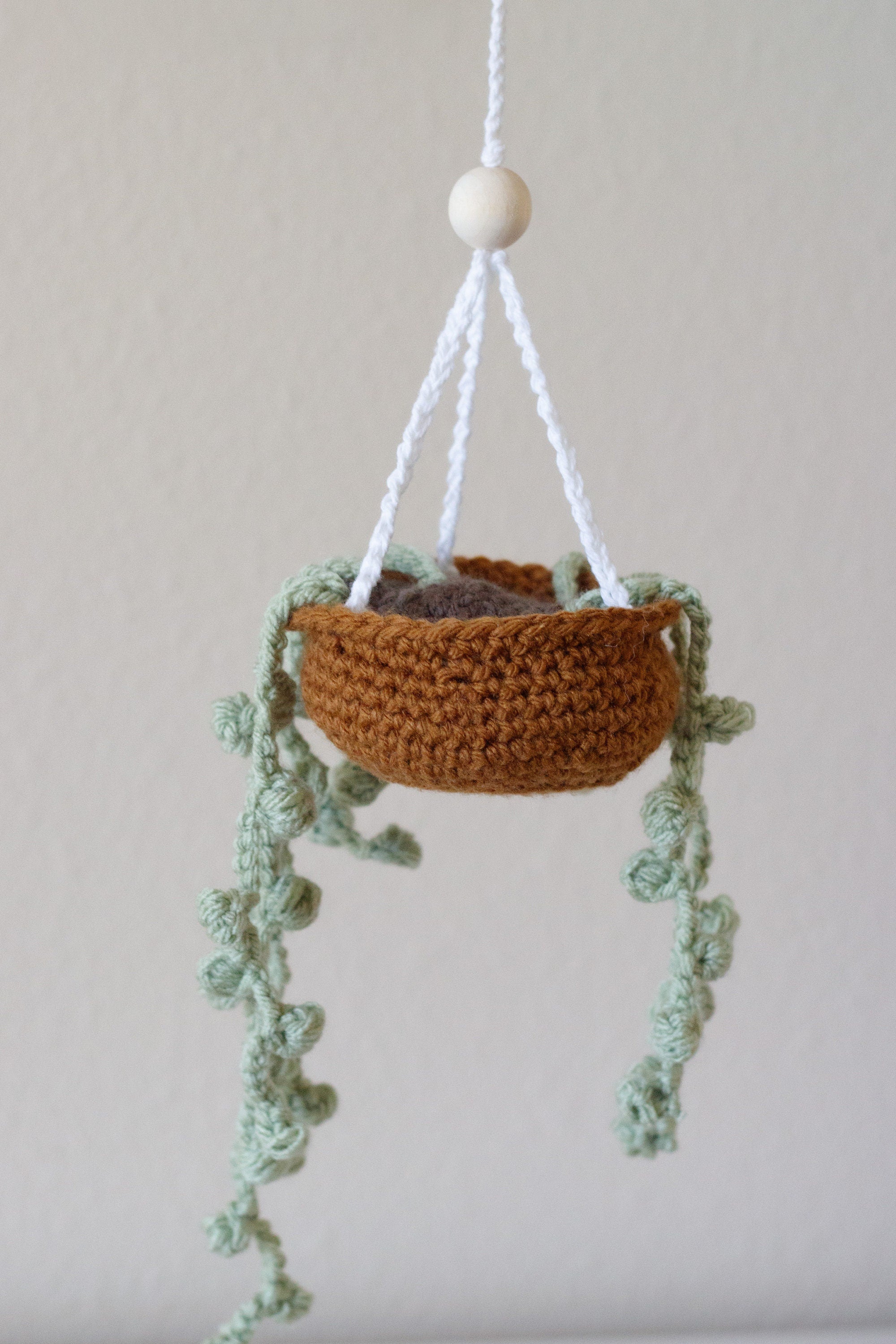 Crochet Carplant