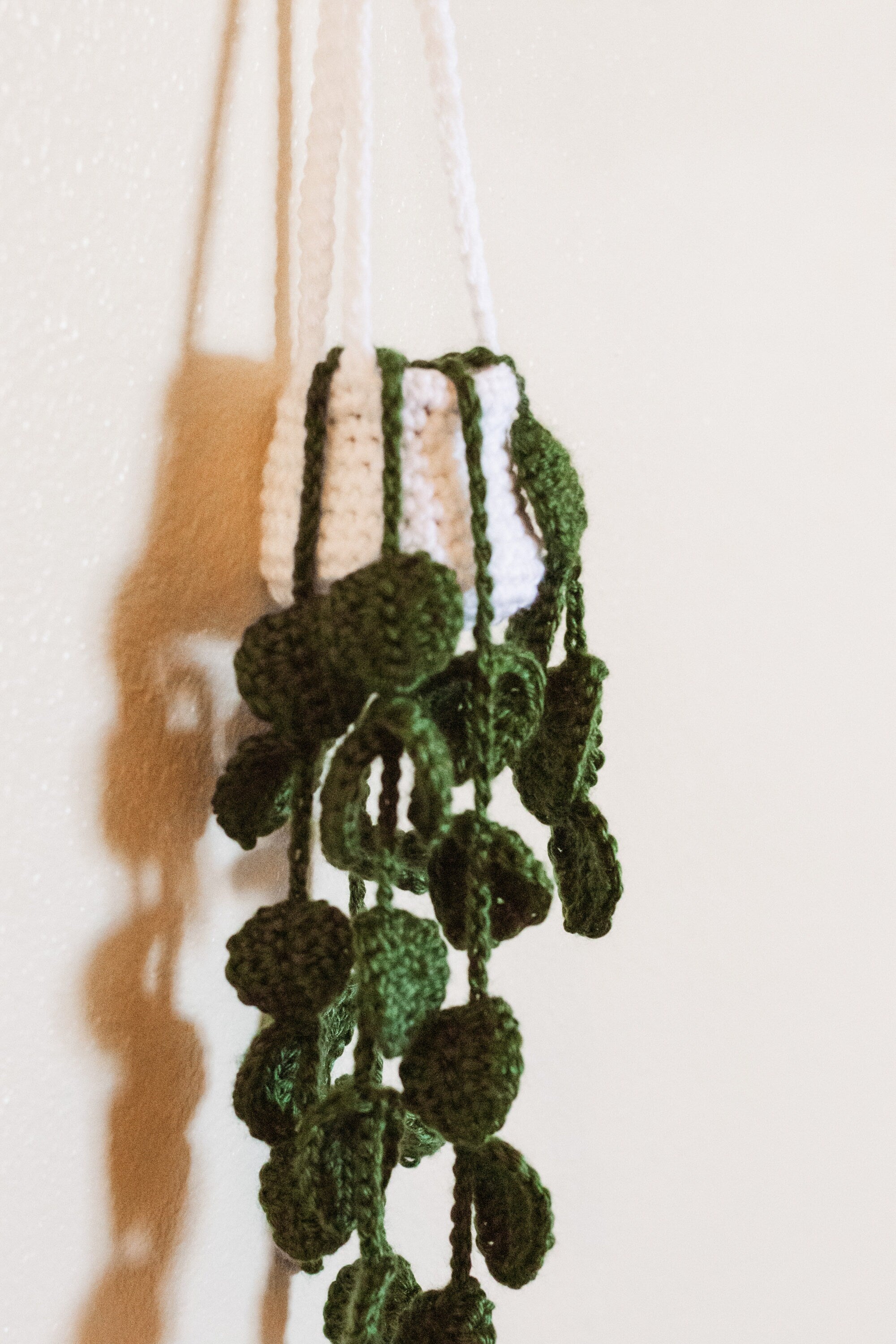Crochet Carplant